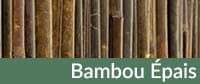 Bambou Épais